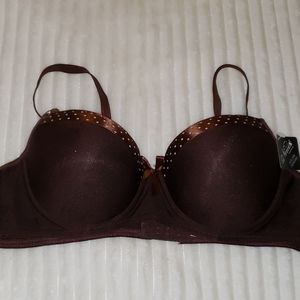 NWT Chocolate Brown Bra